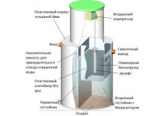 Панда Дана 1.5